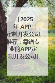 2025 年 APP 定制开发公司推荐：靠谱专业的APP定制开发公司
